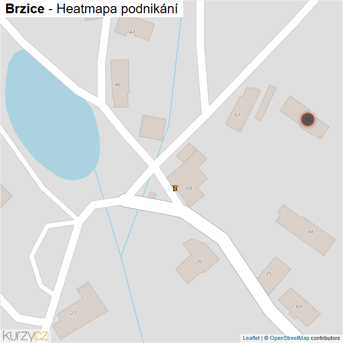 Mapa Brzice - Firmy v obci.