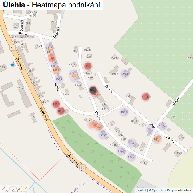 Mapa Úlehla - Firmy v ulici.