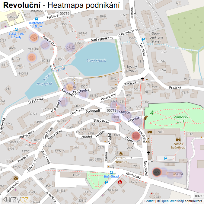 Mapa Revoluční - Firmy v ulici.