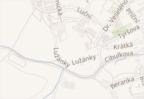Bystříčko v obci Bystřec - mapa ulice