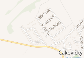 Borová v obci Čakovičky - mapa ulice