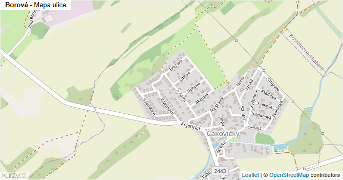 Borová - mapa ulice
