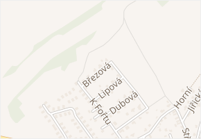Březová v obci Čakovičky - mapa ulice