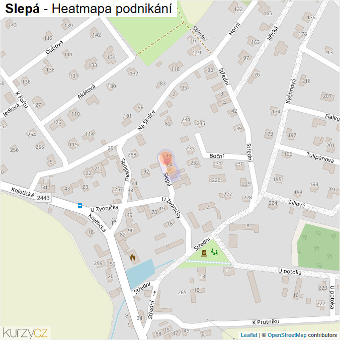 Mapa Slepá - Firmy v ulici.