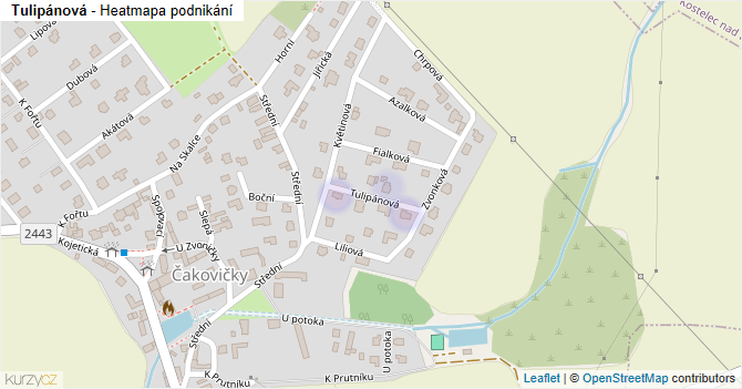 Tulipánová - mapa podnikání