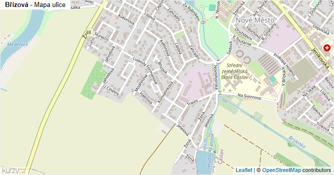 Břízová - mapa ulice