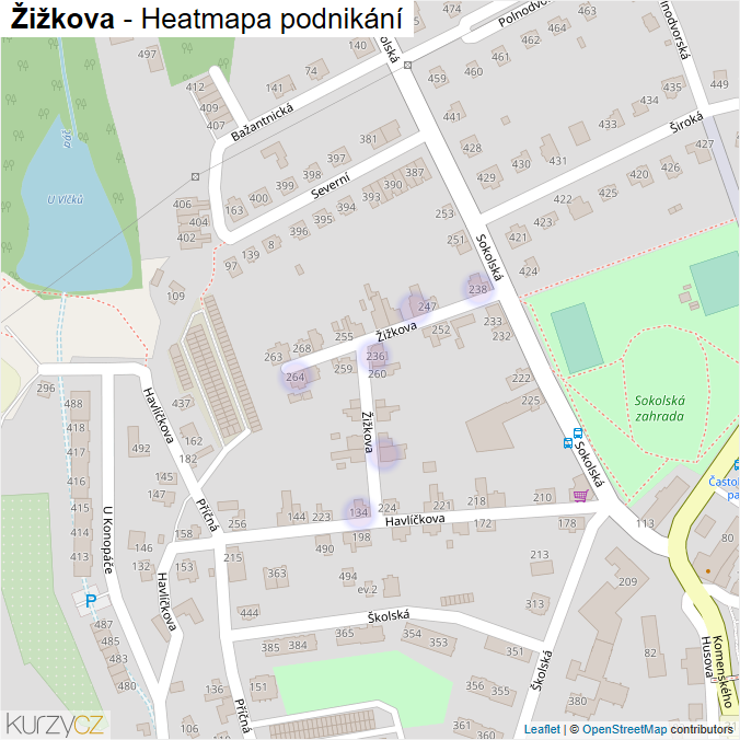 Mapa Žižkova - Firmy v ulici.