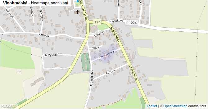Vinohradská - mapa podnikání