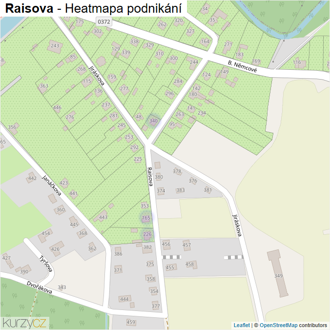 Mapa Raisova - Firmy v ulici.