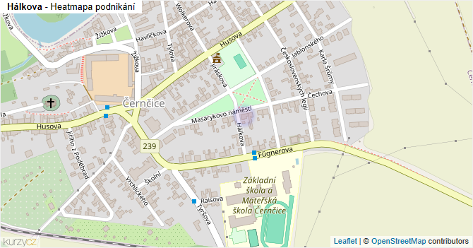 Hálkova - mapa podnikání