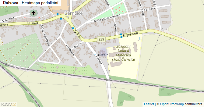 Raisova - mapa podnikání