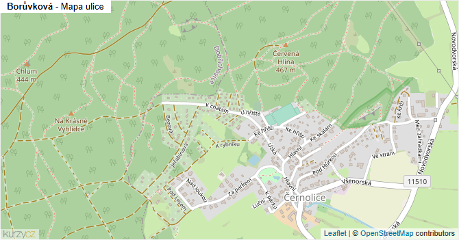 Borůvková - mapa ulice