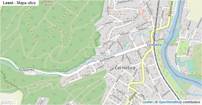 Lesní - mapa ulice