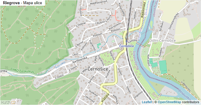 Riegrova - mapa ulice