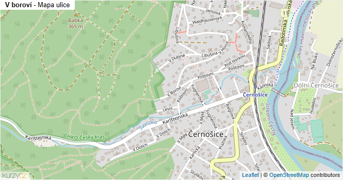 V boroví - mapa ulice
