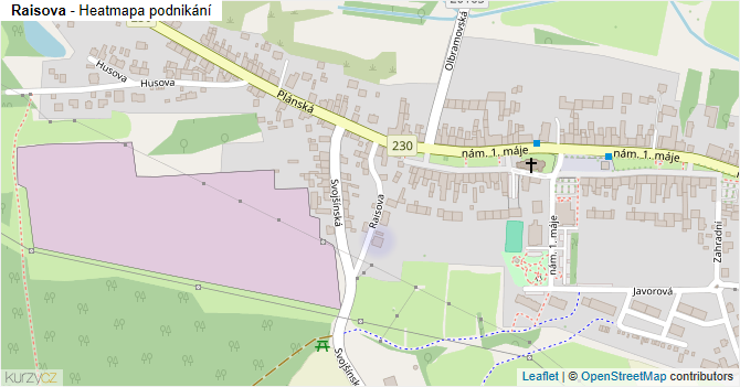 Raisova - mapa podnikání