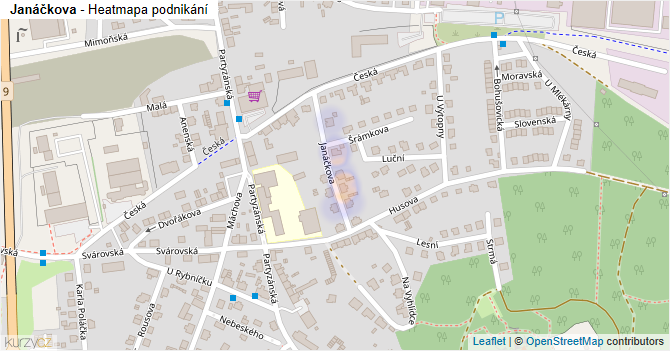 Janáčkova - mapa podnikání