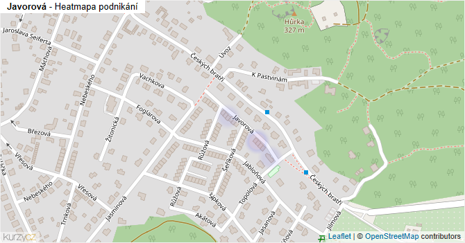 Javorová - mapa podnikání