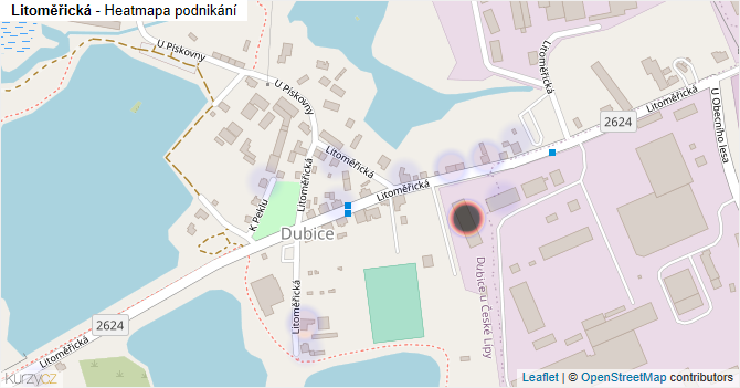 Litoměřická - mapa podnikání