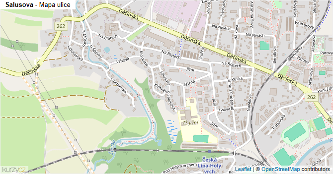 Salusova - mapa ulice