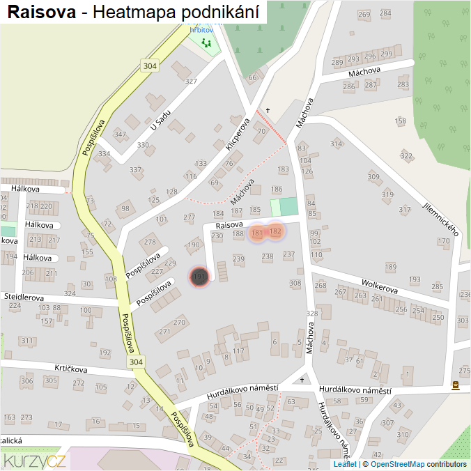 Mapa Raisova - Firmy v ulici.