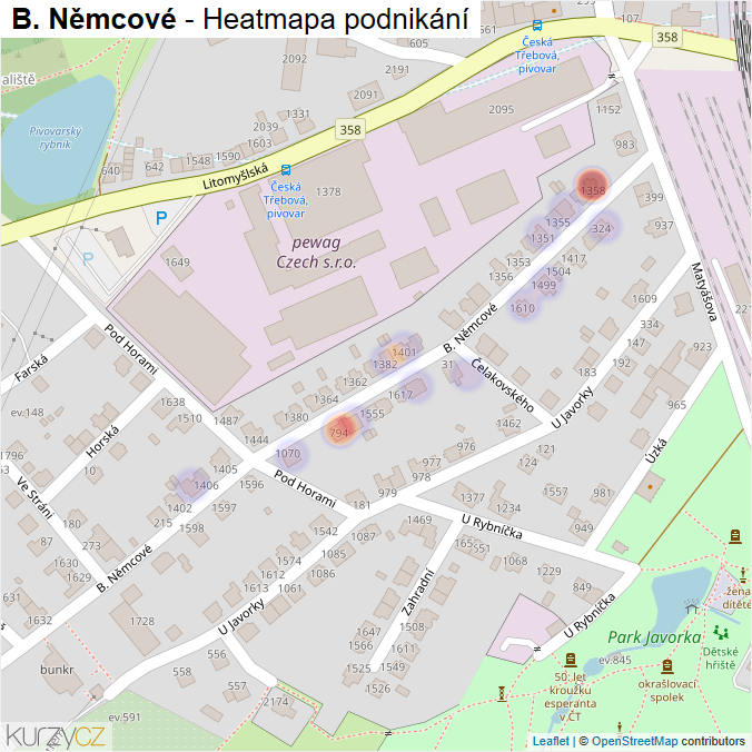 Mapa B. Němcové - Firmy v ulici.