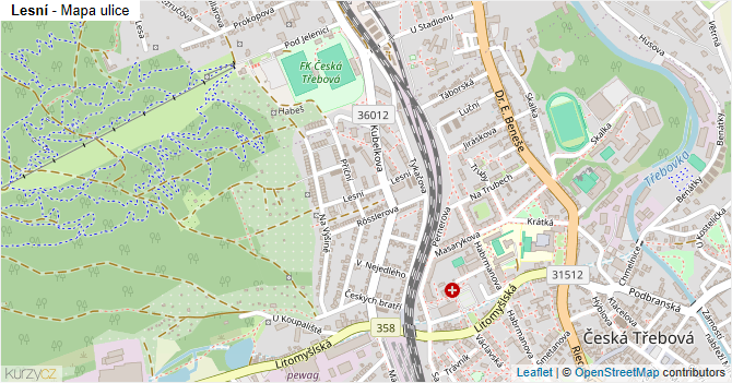 Lesní - mapa ulice