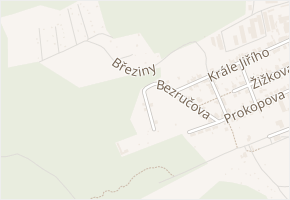 U Lesa v obci Česká Třebová - mapa ulice