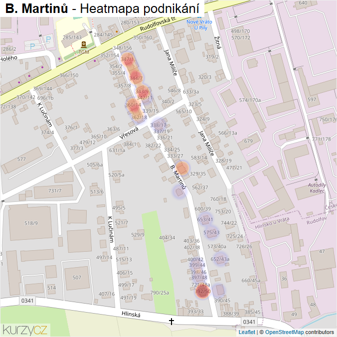 Mapa B. Martinů - Firmy v ulici.