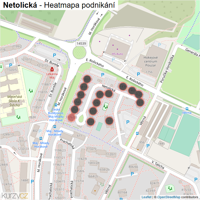 Mapa Netolická - Firmy v ulici.