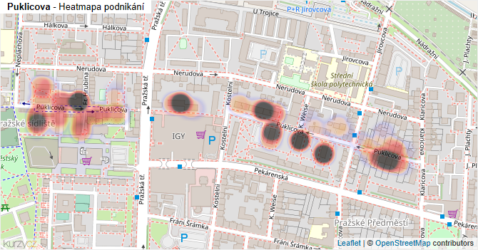 Puklicova - mapa podnikání