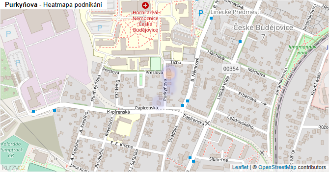 Purkyňova - mapa podnikání