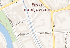 U Tří lvů v obci České Budějovice - mapa ulice