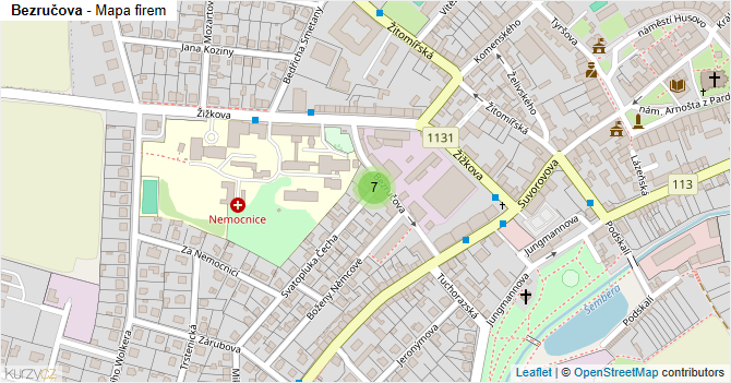 Bezručova - mapa firem