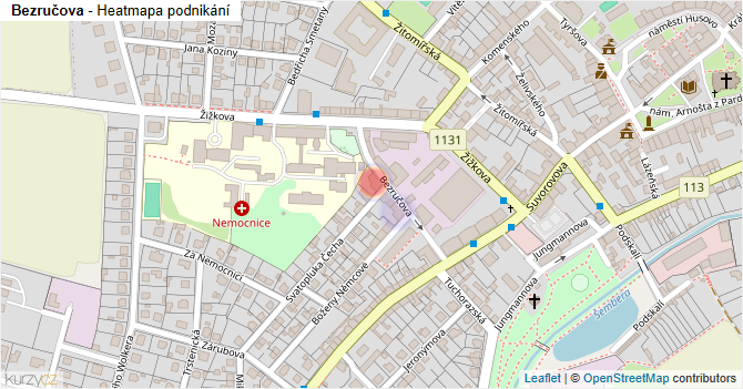 Bezručova - mapa podnikání