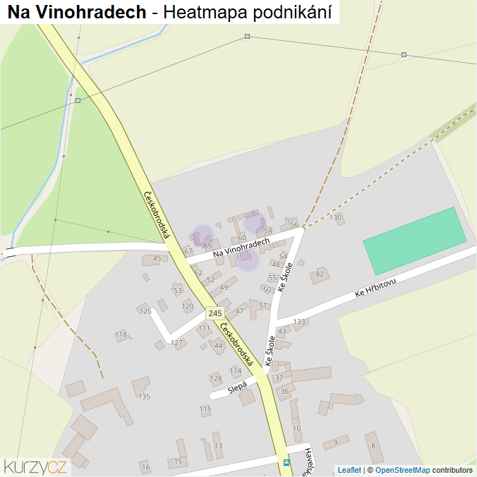 Mapa Na Vinohradech - Firmy v ulici.