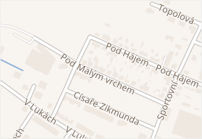 Pod Malým vrchem v obci Český Brod - mapa ulice