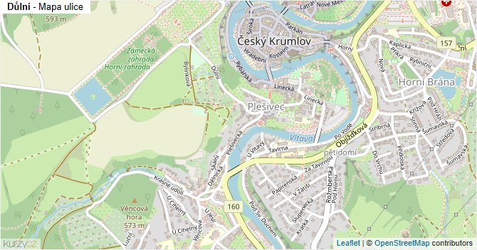 Důlní - mapa ulice