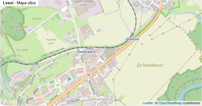 Lesní - mapa ulice