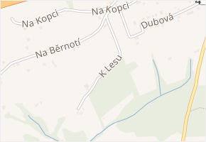 K Lesu v obci Český Těšín - mapa ulice
