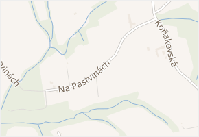 Na Pastvinách v obci Český Těšín - mapa ulice