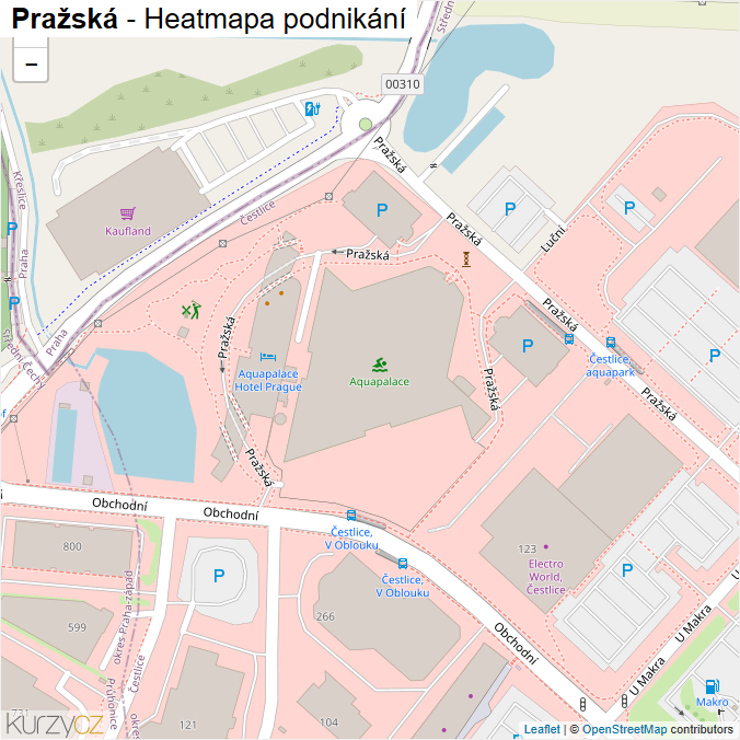 Mapa Pražská - Firmy v ulici.