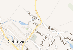 Jevíčská v obci Cetkovice - mapa ulice