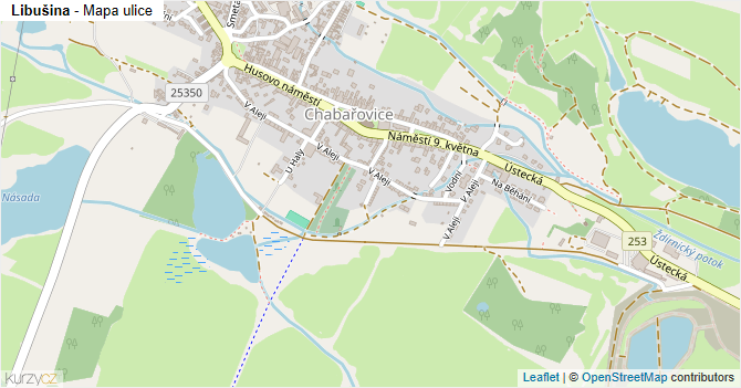 Libušina - mapa ulice