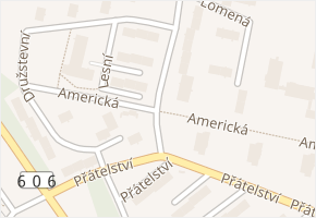 Americká v obci Cheb - mapa ulice