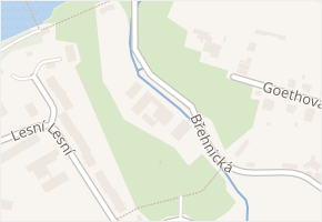 Břehnická v obci Cheb - mapa ulice