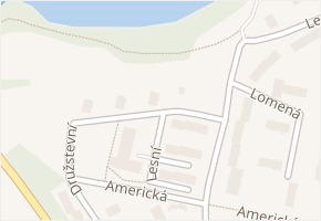 Družstevní v obci Cheb - mapa ulice
