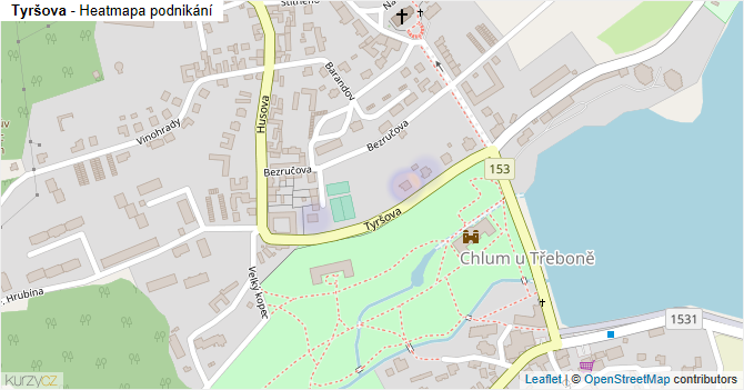 Tyršova - mapa podnikání