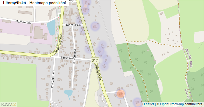 Litomyšlská - mapa podnikání