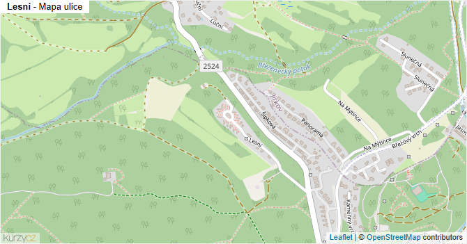 Lesní - mapa ulice